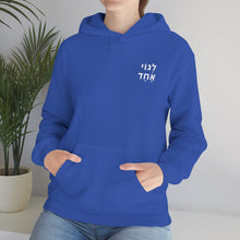 Load image into Gallery viewer, One Big Family (Legoi Echad - One Nation) Sweatshirt Hoodie