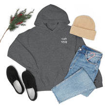 Load image into Gallery viewer, One Big Family (Legoi Echad - One Nation) Sweatshirt Hoodie