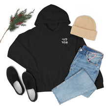 Load image into Gallery viewer, One Big Family (Legoi Echad - One Nation) Sweatshirt Hoodie