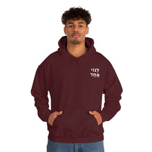 Load image into Gallery viewer, One Big Family (Legoi Echad - One Nation) Sweatshirt Hoodie