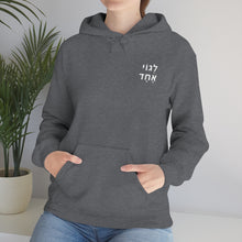 Load image into Gallery viewer, One Big Family (Legoi Echad - One Nation) Sweatshirt Hoodie