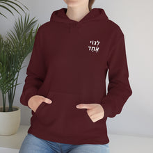 Load image into Gallery viewer, One Big Family (Legoi Echad - One Nation) Sweatshirt Hoodie