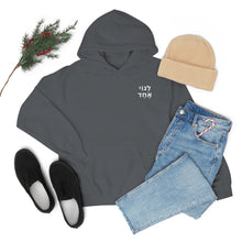 Load image into Gallery viewer, One Big Family (Legoi Echad - One Nation) Sweatshirt Hoodie