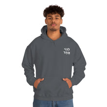Load image into Gallery viewer, One Big Family (Legoi Echad - One Nation) Sweatshirt Hoodie