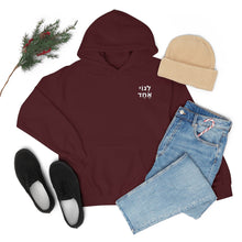 Load image into Gallery viewer, One Big Family (Legoi Echad - One Nation) Sweatshirt Hoodie